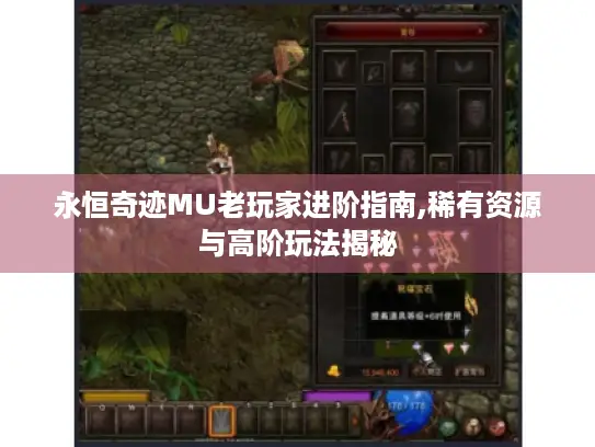 永恒奇迹MU老玩家进阶指南,稀有资源与高阶玩法揭秘