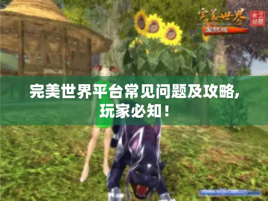 完美世界平台常见问题及攻略,玩家必知! 完美世界平台常见问题及攻略,玩家必知!