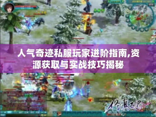 人气奇迹私服玩家进阶指南,资源获取与实战技巧揭秘