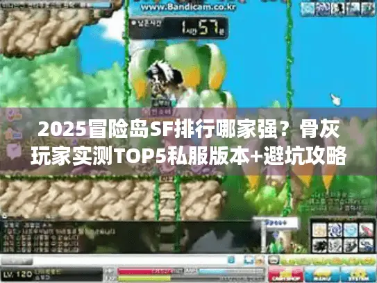 2025冒险岛SF排行哪家强？骨灰玩家实测TOP5私服版本+避坑攻略