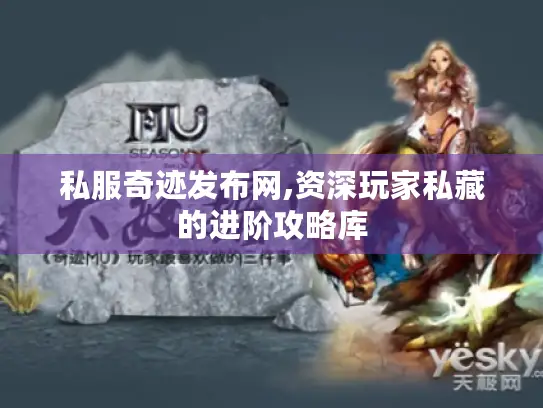 私服奇迹发布网,资深玩家私藏的进阶攻略库