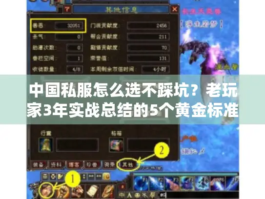 中国私服怎么选不踩坑？老玩家3年实战总结的5个黄金标准+避坑清单