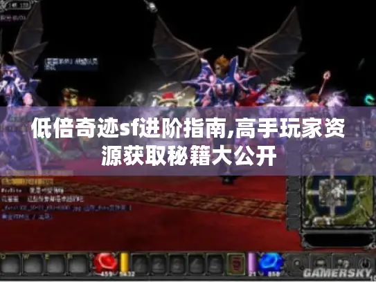 低倍奇迹sf进阶指南,高手玩家资源获取秘籍大公开