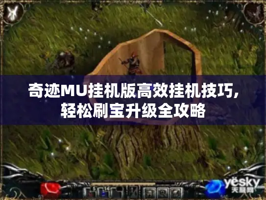 奇迹MU挂机版高效挂机技巧,轻松刷宝升级全攻略
