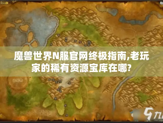 魔兽世界N服官网终极指南,老玩家的稀有资源宝库在哪?