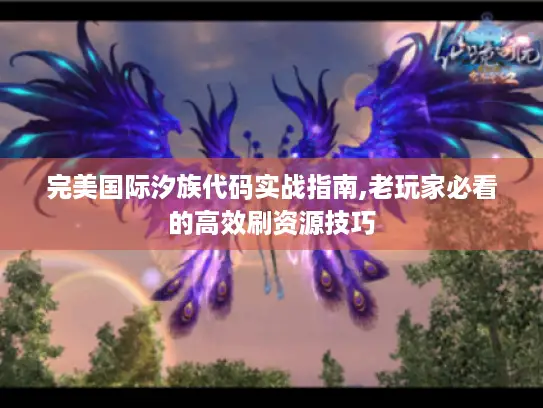 完美国际汐族代码实战指南,老玩家必看的高效刷资源技巧