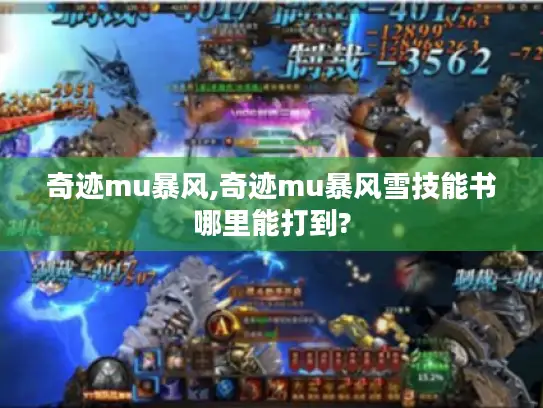 奇迹mu暴风,奇迹mu暴风雪技能书哪里能打到?