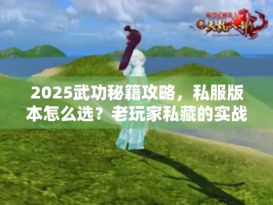 2025武功秘籍攻略，私服版本怎么选？老玩家私藏的实战技巧全公开