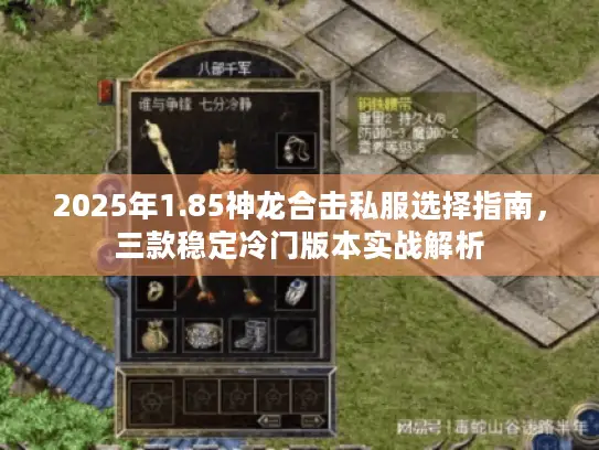 2025年1.85神龙合击私服选择指南,三款稳定冷门版本实战解析 2025年1.85神龙合击私服选择指南,三款稳定冷门版本实战解析