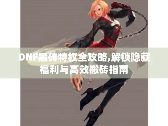 DNF黑砖特权全攻略,解锁隐藏福利与高效搬砖指南 DNF黑砖特权全攻略,解锁隐藏福利与高效搬砖指南