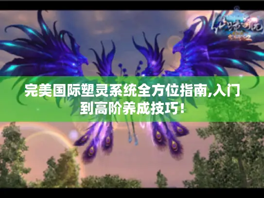 完美国际塑灵系统全方位指南,入门到高阶养成技巧！