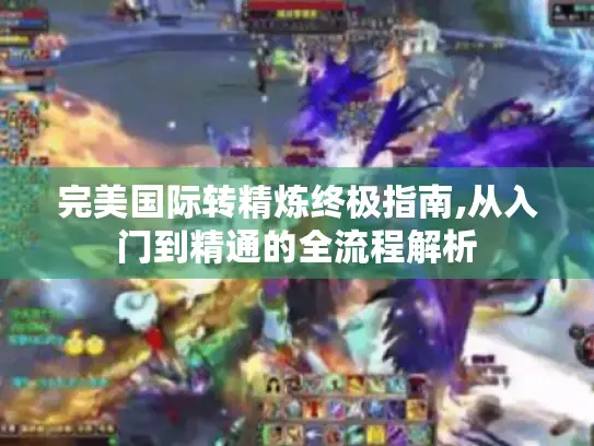 完美国际转精炼终极指南,从入门到精通的全流程解析