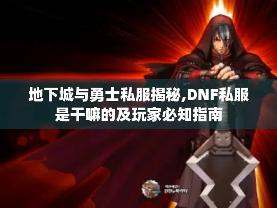 地下城与勇士私服揭秘,DNF私服是干嘛的及玩家必知指南