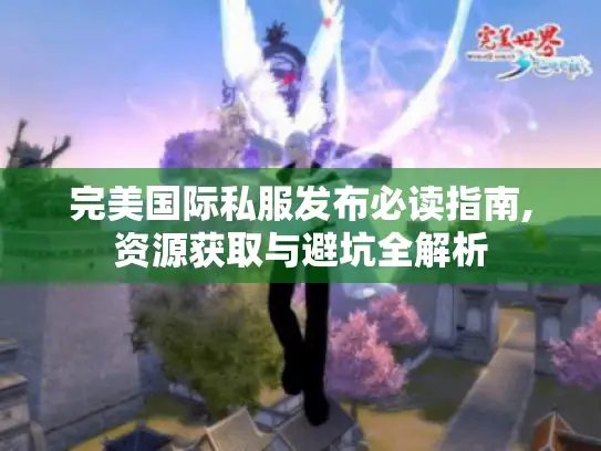 完美国际私服发布必读指南,资源获取与避坑全解析