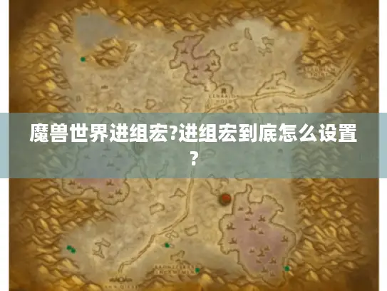 魔兽世界进组宏?进组宏到底怎么设置?