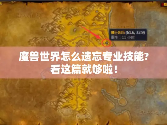 魔兽世界怎么遗忘专业技能?看这篇就够啦！