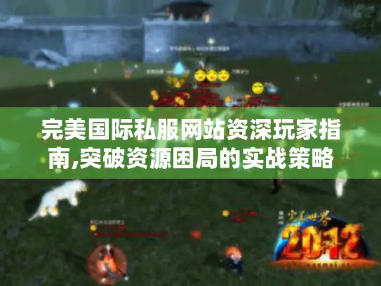 完美国际私服网站资深玩家指南,突破资源困局的实战策略