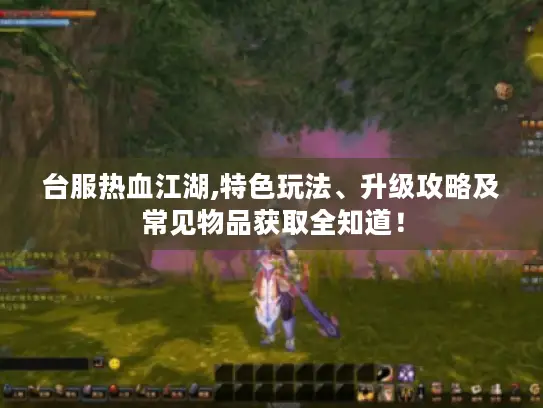 台服热血江湖,特色玩法、升级攻略及常见物品获取全知道! 台服热血江湖,特色玩法、升级攻略及常见物品获取全知道!