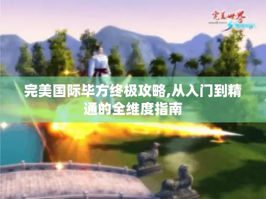 完美国际毕方终极攻略,从入门到精通的全维度指南