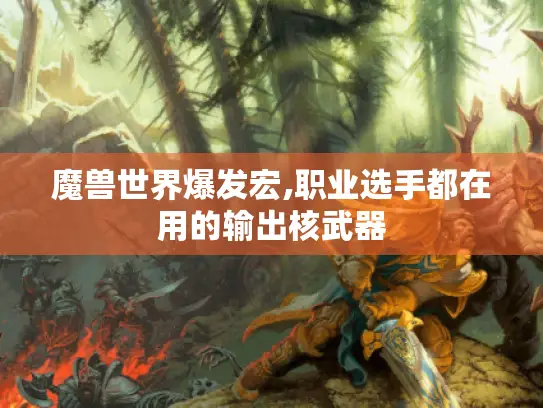 魔兽世界爆发宏,职业选手都在用的输出核武器