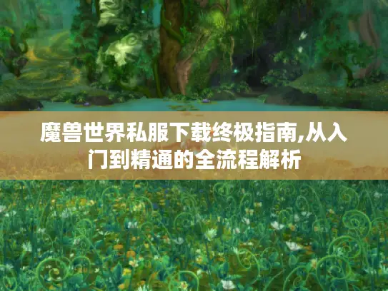 魔兽世界私服下载终极指南,从入门到精通的全流程解析