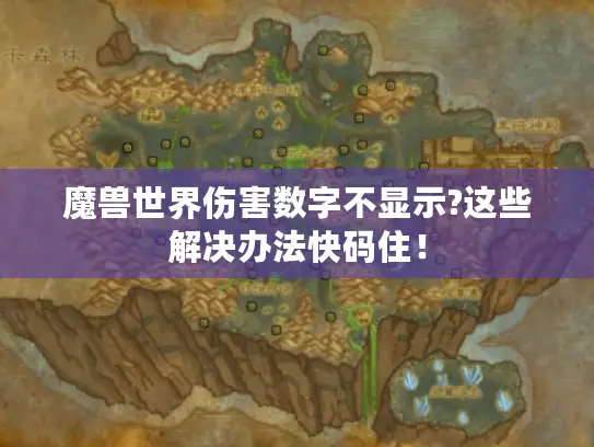 魔兽世界伤害数字不显示?这些解决办法快码住! 魔兽世界伤害数字不显示?这些解决办法快码住!