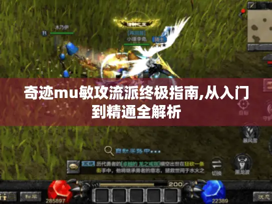 奇迹mu敏攻流派终极指南,从入门到精通全解析