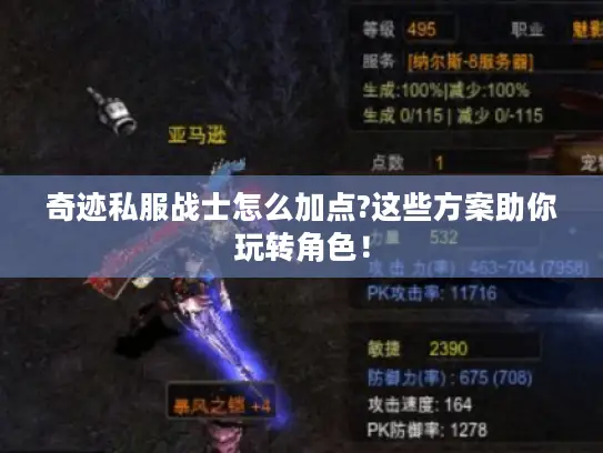 奇迹私服战士怎么加点?这些方案助你玩转角色！
