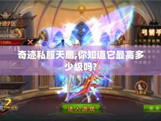 奇迹私服天鹰,你知道它最高多少级吗?