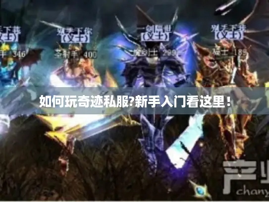 如何玩奇迹私服?新手入门看这里！