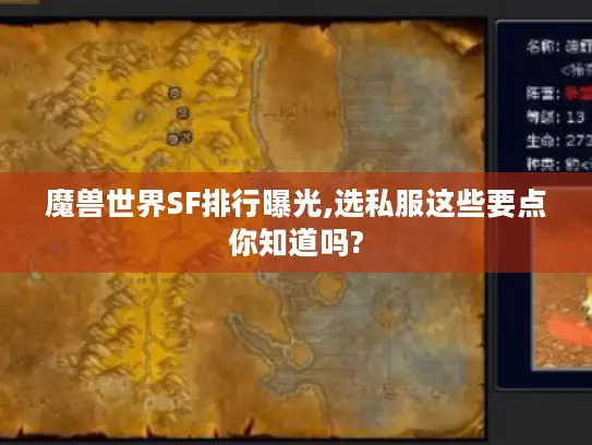 魔兽世界SF排行曝光,选私服这些要点你知道吗?