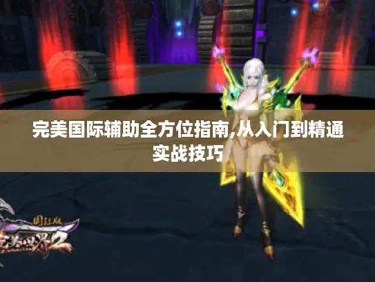 完美国际辅助全方位指南,从入门到精通实战技巧 完美国际辅助全方位指南,从入门到精通实战技巧