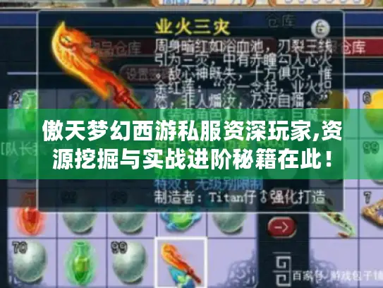 傲天梦幻西游私服资深玩家,资源挖掘与实战进阶秘籍在此！