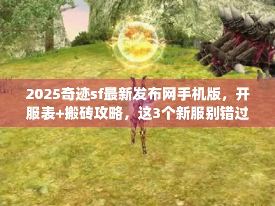 2025奇迹sf最新发布网手机版，开服表+搬砖攻略，这3个新服别错过！