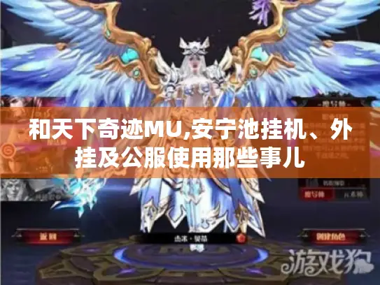 和天下奇迹MU,安宁池挂机、外挂及公服使用那些事儿