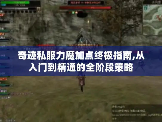 奇迹私服力魔加点终极指南,从入门到精通的全阶段策略