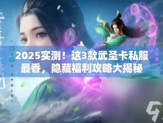 2025实测！这3款武圣卡私服最香，隐藏福利攻略大揭秘