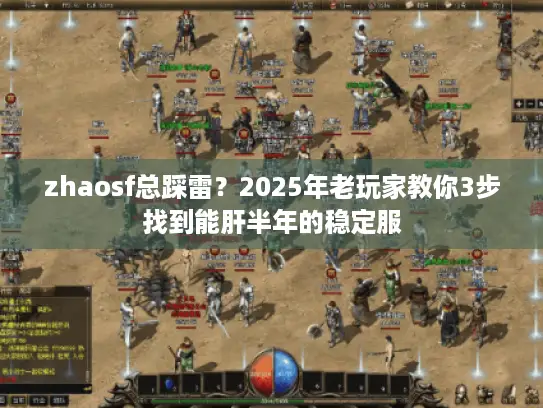 zhaosf总踩雷？2025年老玩家教你3步找到能肝半年的稳定服