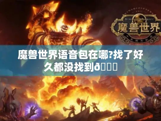 魔兽世界语音包在哪?找了好久都没找到😕