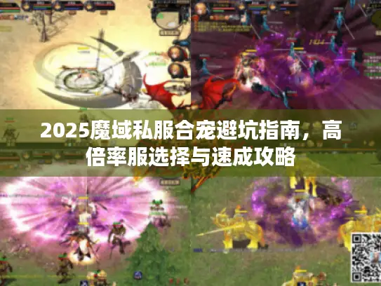 2025魔域私服合宠避坑指南，高倍率服选择与速成攻略