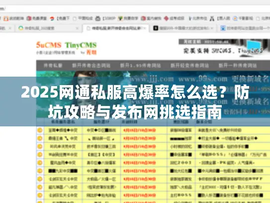 2025网通私服高爆率怎么选?防坑攻略与发布网挑选指南 2025网通私服高爆率怎么选?防坑攻略与发布网挑选指南
