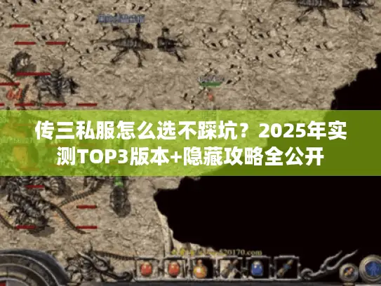 传三私服怎么选不踩坑？2025年实测TOP3版本+隐藏攻略全公开