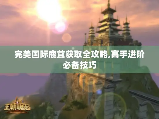 完美国际鹿茸获取全攻略,高手进阶必备技巧