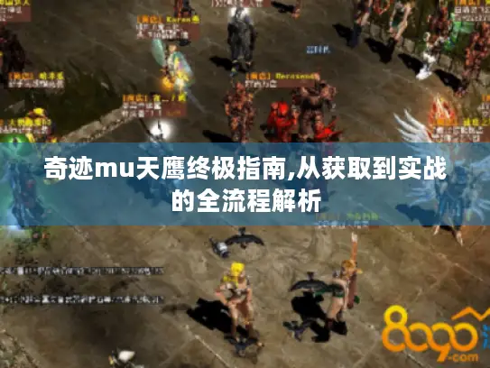 奇迹mu天鹰终极指南,从获取到实战的全流程解析 奇迹mu天鹰终极指南,从获取到实战的全流程解析
