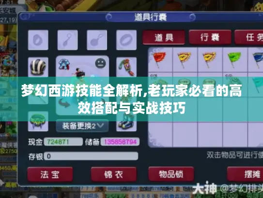 梦幻西游技能全解析,老玩家必看的高效搭配与实战技巧