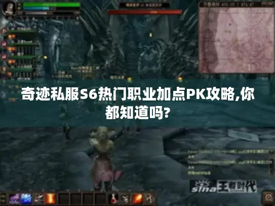 奇迹私服S6热门职业加点PK攻略,你都知道吗?