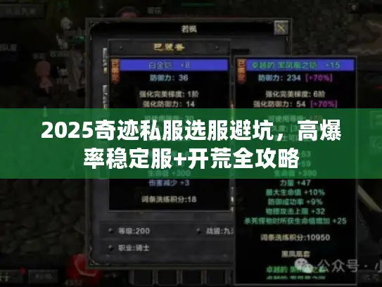 2025奇迹私服选服避坑，高爆率稳定服+开荒全攻略