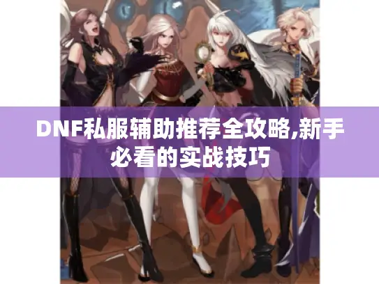 DNF私服辅助推荐全攻略,新手必看的实战技巧