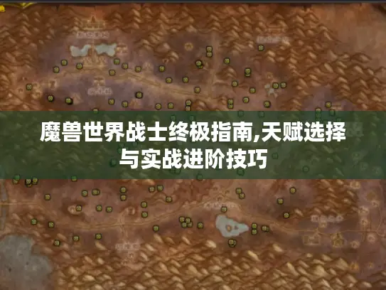 魔兽世界战士终极指南,天赋选择与实战进阶技巧
