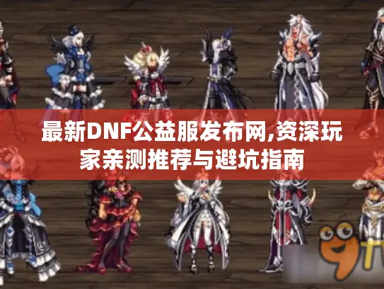 最新DNF公益服发布网,资深玩家亲测推荐与避坑指南